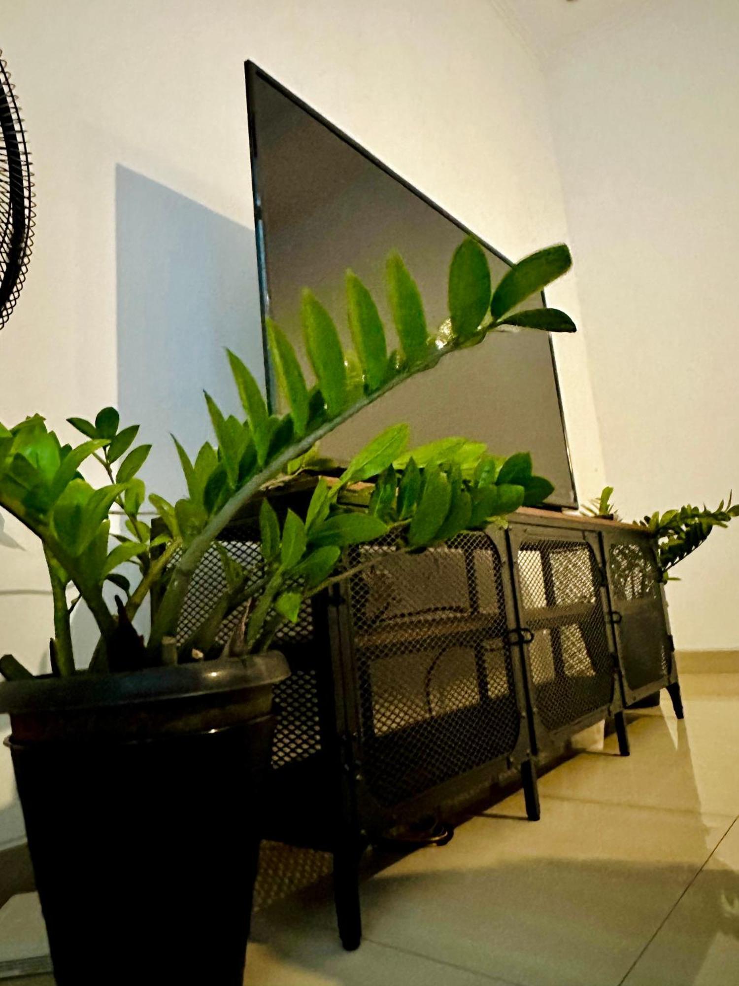 4-Bedroom Home In South Jakarta Nuansa Swadarma Residence By Le Ciel Hospitality Exteriér fotografie